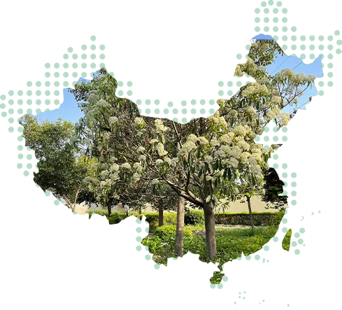 养老院历史悠久，环境优美